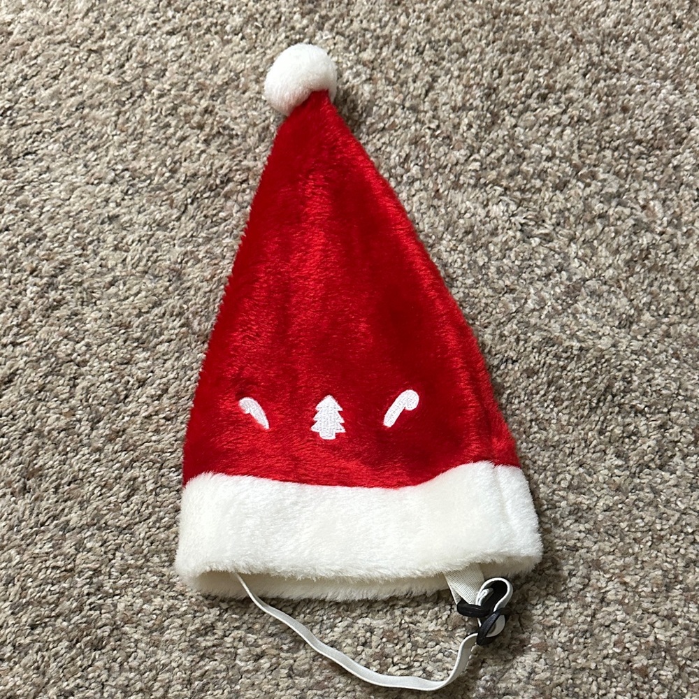 Pet Santa hat